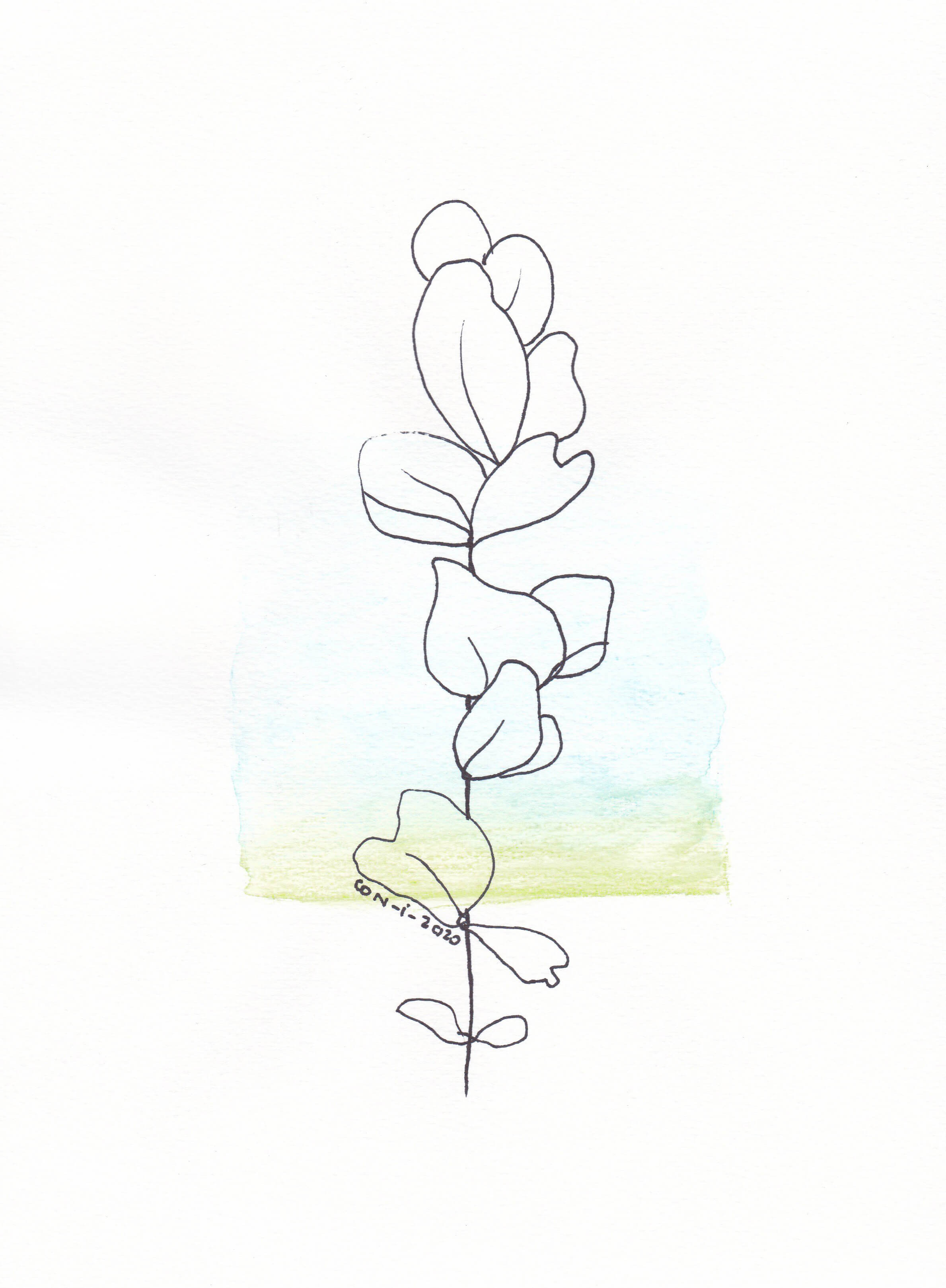 Abstract floral line composition