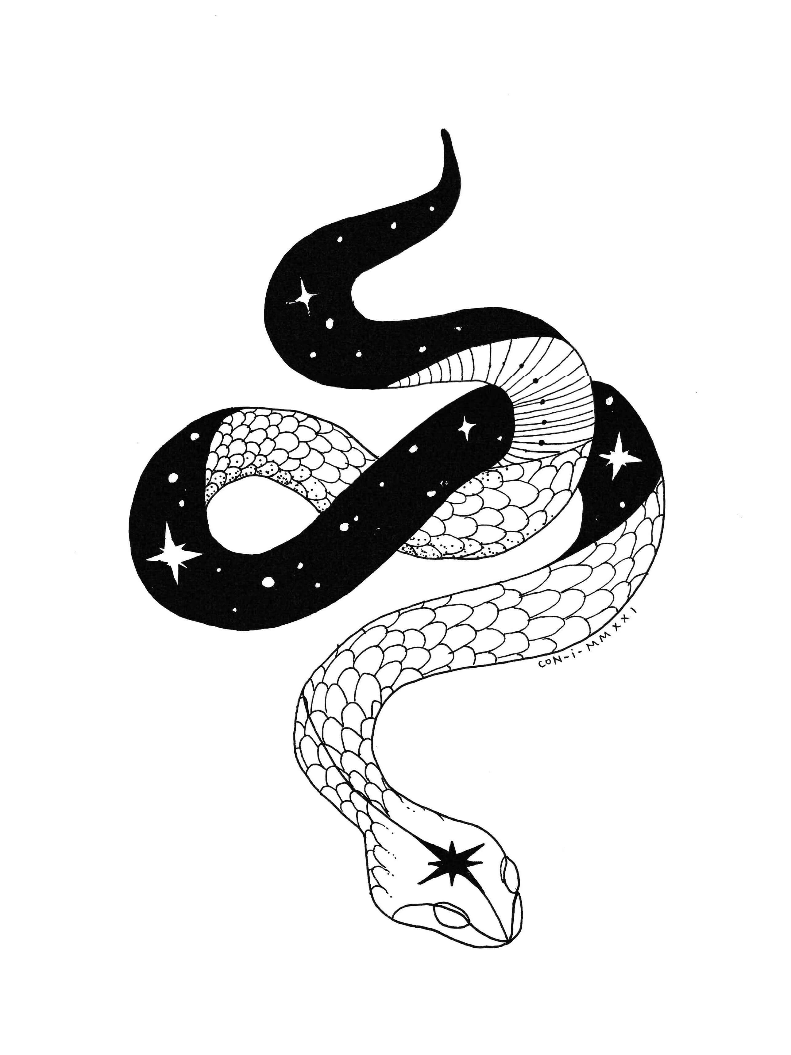 Ilustration of a snake
